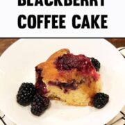 Blackberry Cake with Yellow Cake Mix