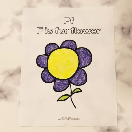 F is for Flower Activity and Craft | Two Pink Peonies