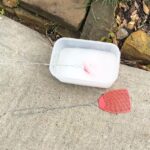 fly swatter bubbles