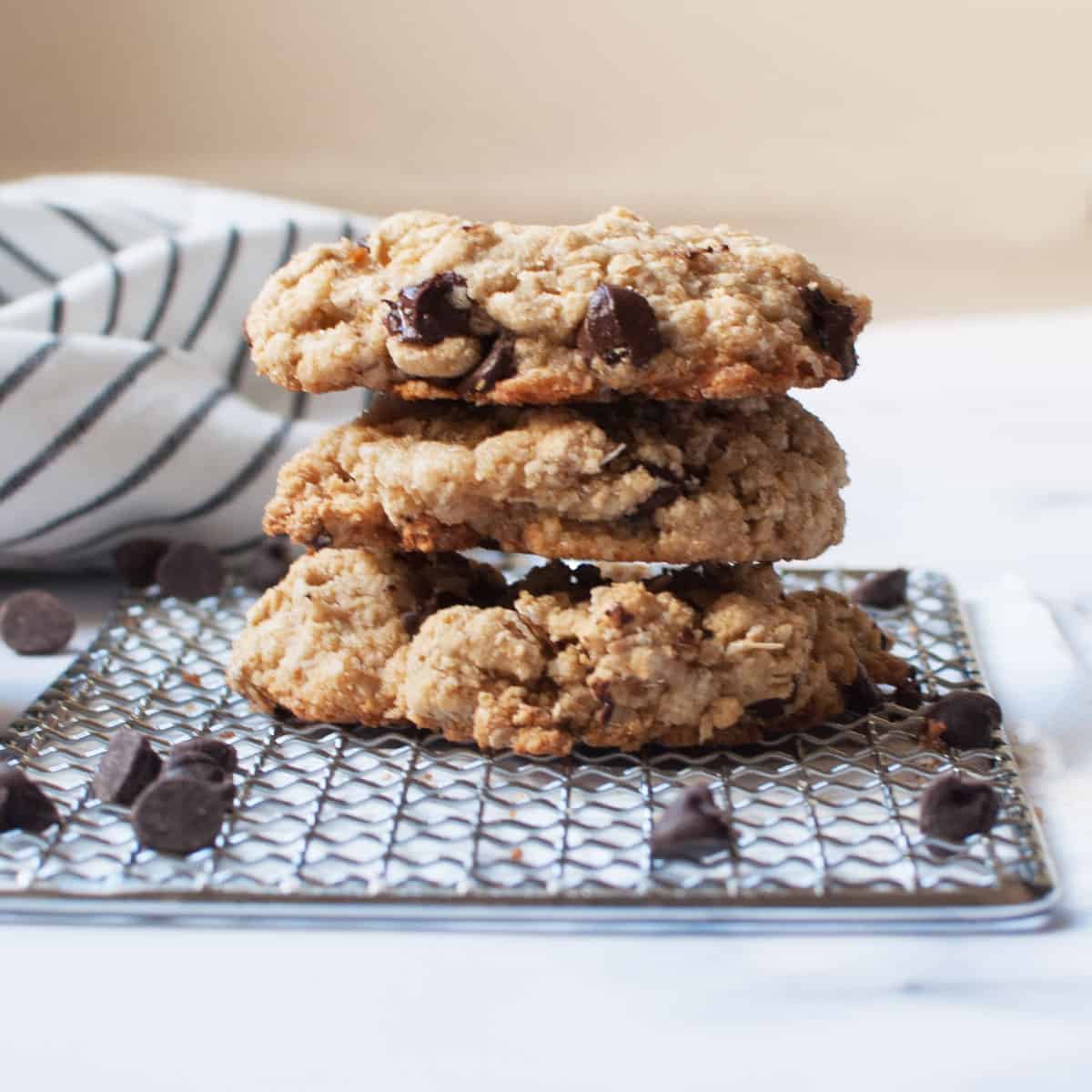 Sourdough Discard Oatmeal Cookies Recipe