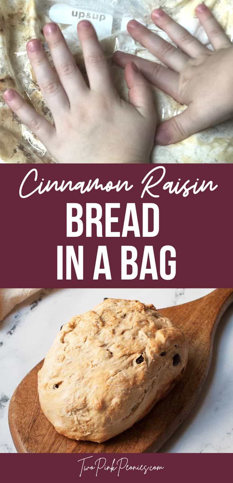 image with text that says cinnamon raisin bread in a bag with a child's hands squishing a ziplock bag on top and a loaf of cinnamon raisin bread on the bottom