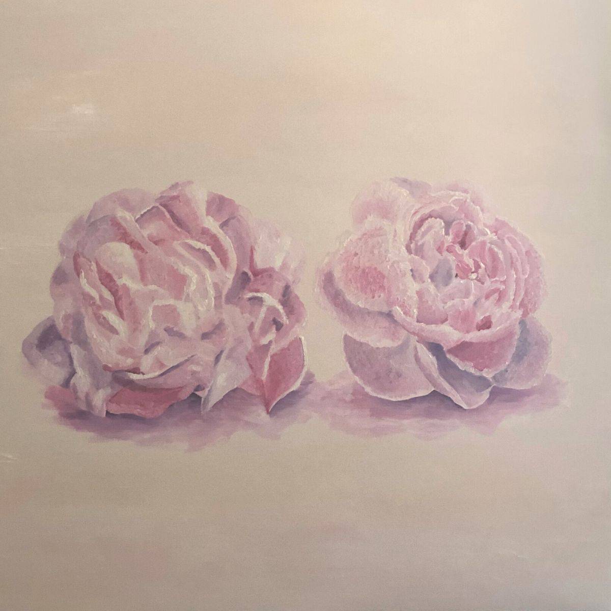 painting of two pink peonies