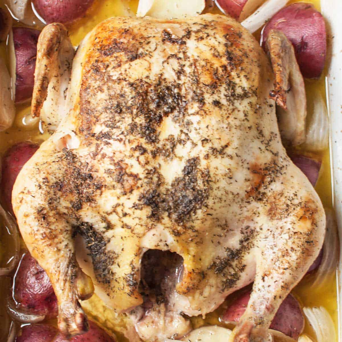 close up view of a whole chicken
