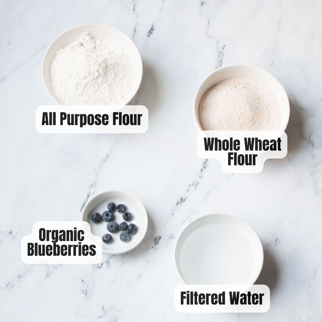 ingredients needed to make sourdough starter with blueberries