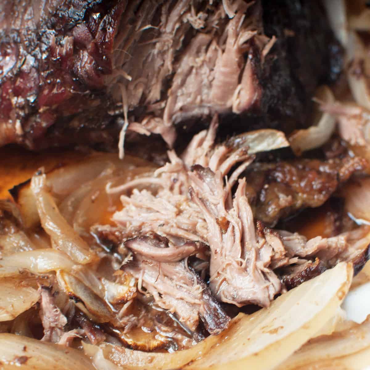 Up close view of shredded pot roast and onion.