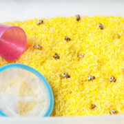 A bee sensory bin. It is a sensory bin made from rice that has been dyed yellow, small bee toys, scoops, and a bug catching kit.