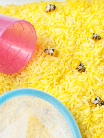 A bee sensory bin. It is a sensory bin made from rice that has been dyed yellow, small bee toys, scoops, and a bug catching kit.