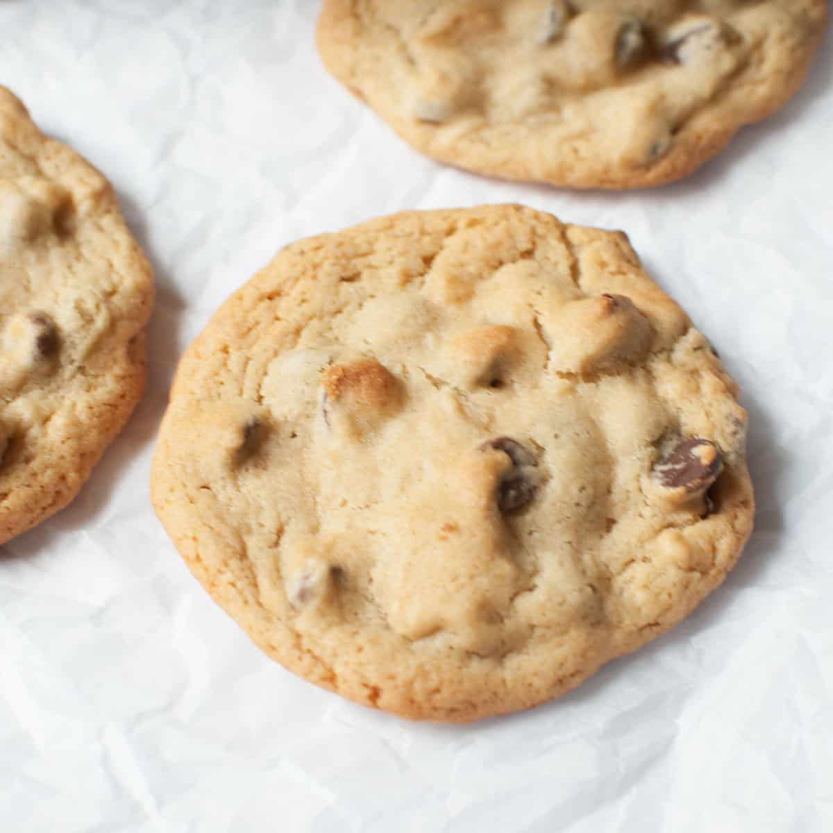 A chocolate chip cookie on a white background with two other cookies behind it.