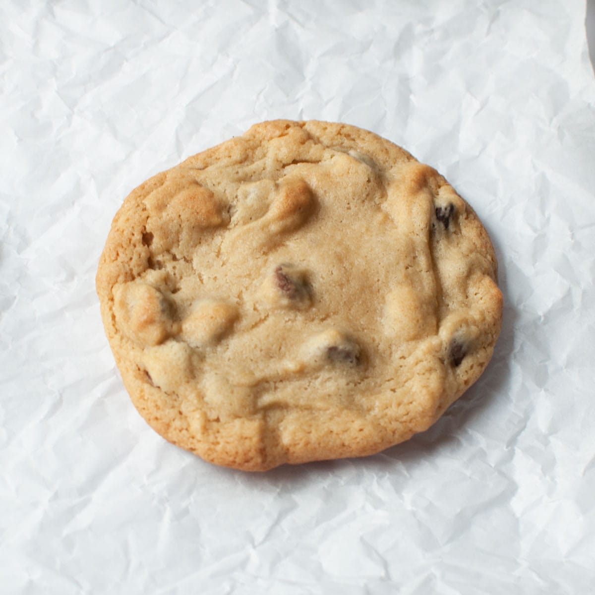 A chocolate chip cookie on a white background.