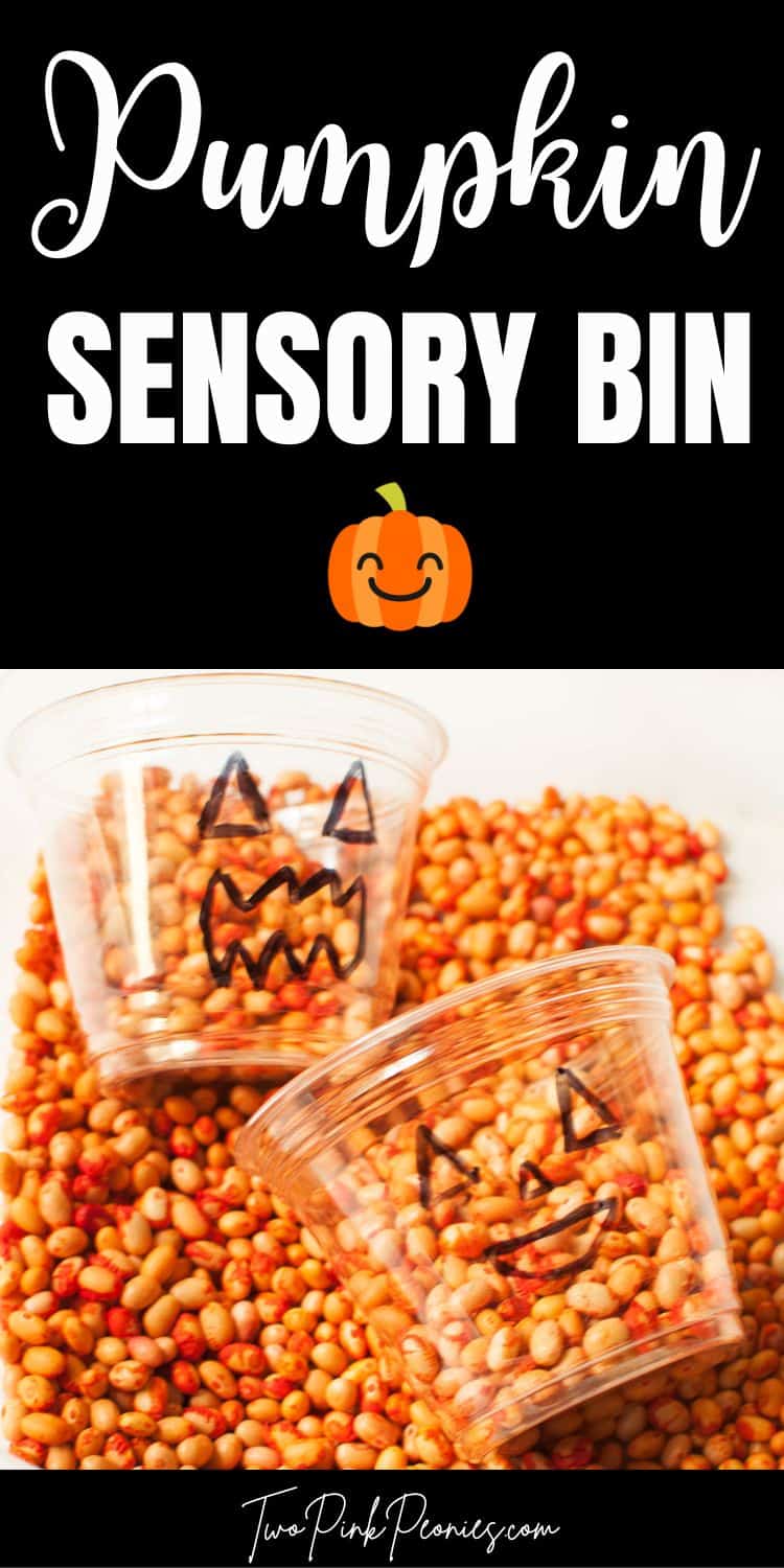 Text that says pumpkin sensory bin. Below the text are small beans that have been dyed orange and cups with pumpkin faces on them.