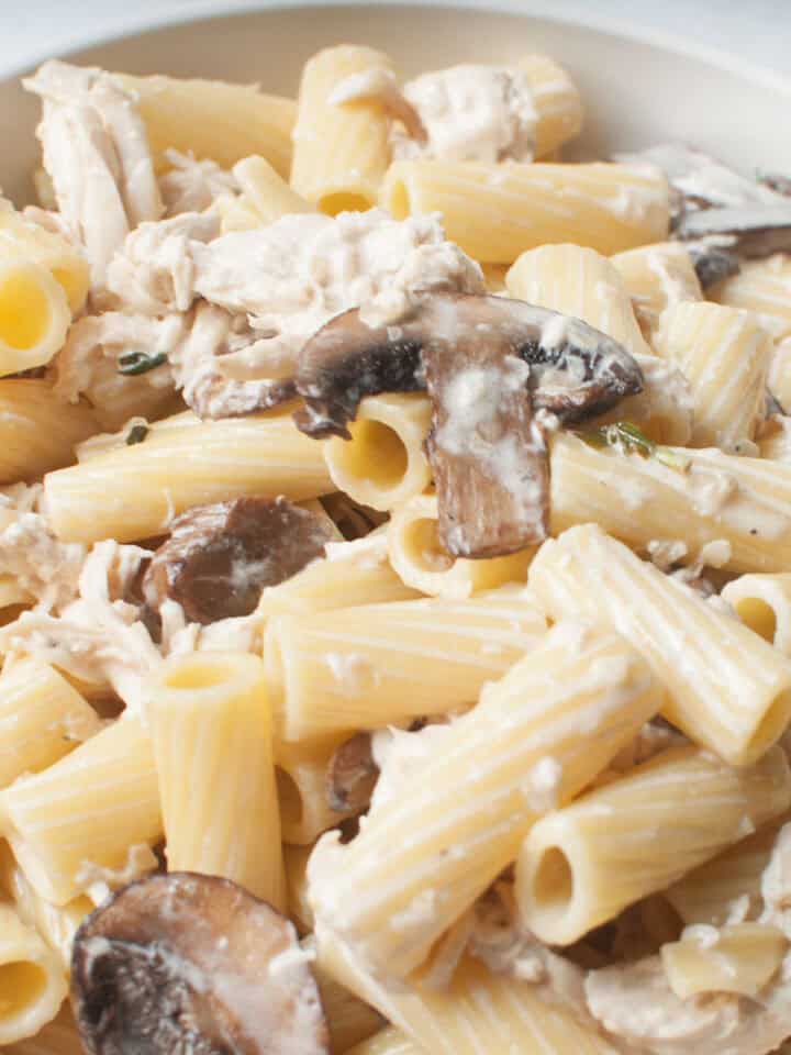 A close up photo of Copycat Maggiano's Rigatoni D.