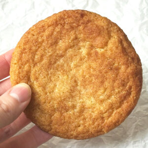 A hand holding a Copycat Great American Cookies Snickerdoodle cookie.