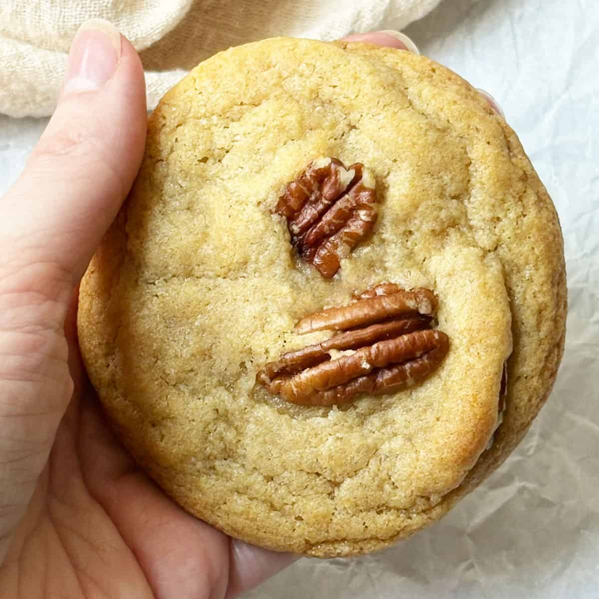 A hand holding an old fashioned pecan cookie.