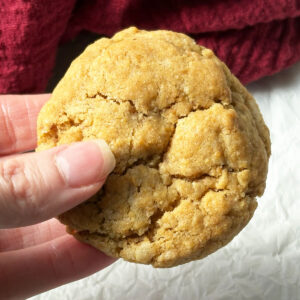 A hand holding a soft ginger cookie.